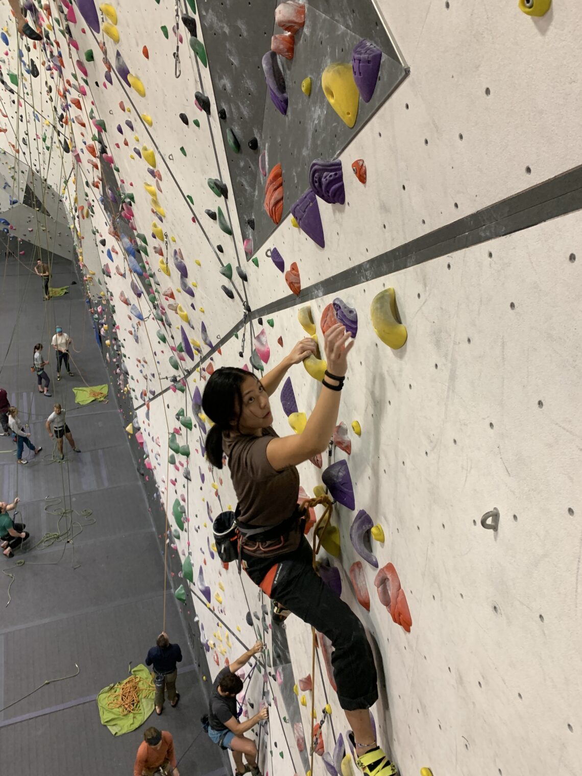 Image of me climbing. I have black hair, I am wearing a t shirt and pants, and I have a very focused face. I also am wearing my harness, my climbing shoes and am attached to a rope.